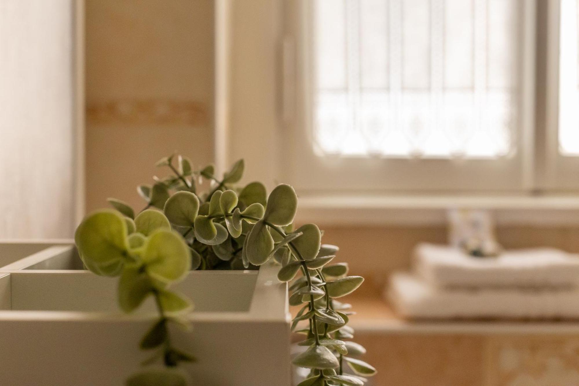 Iflat Vatican Spacious Apartment With Terrace ローマ エクステリア 写真