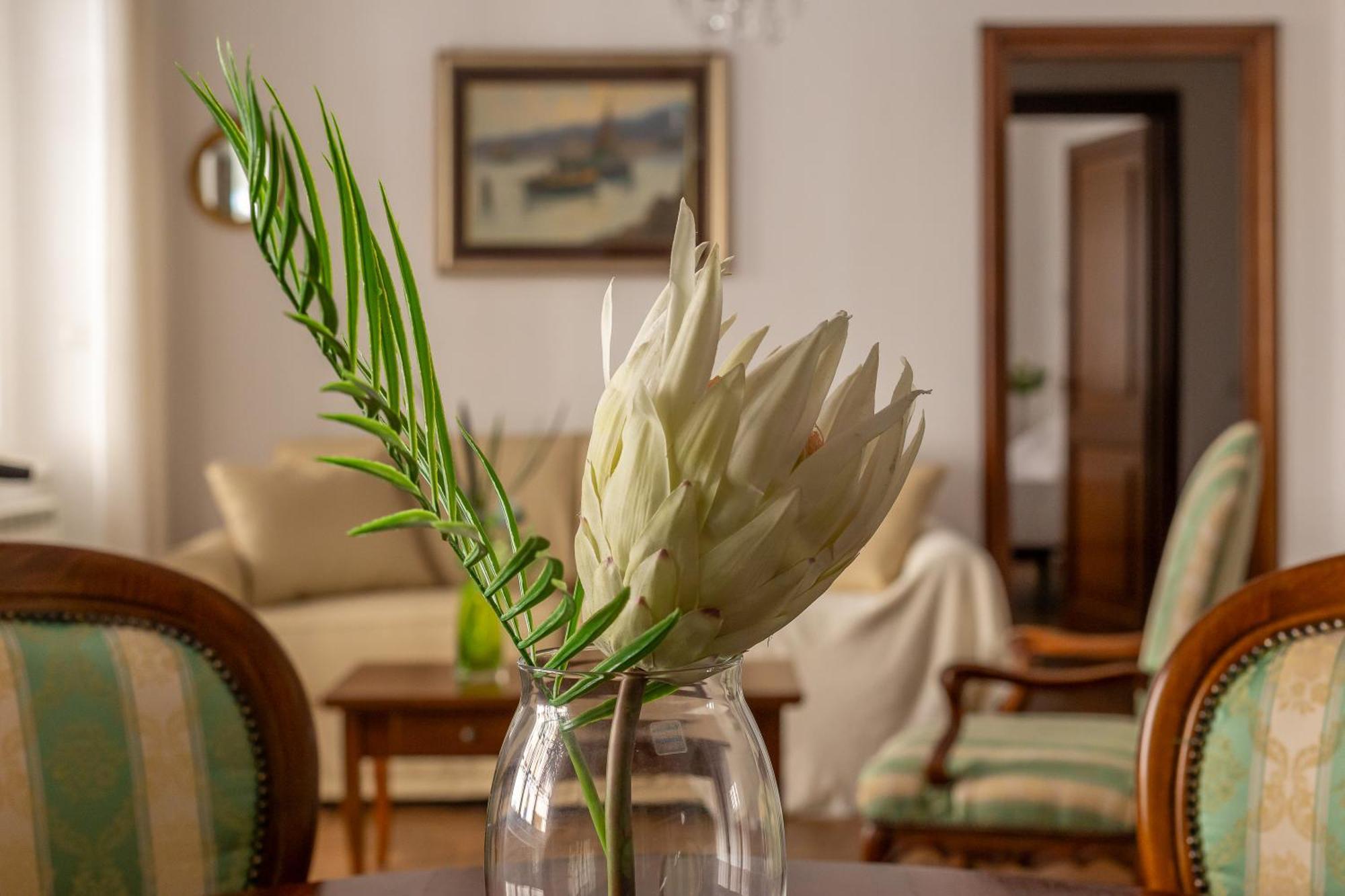 Iflat Vatican Spacious Apartment With Terrace ローマ エクステリア 写真